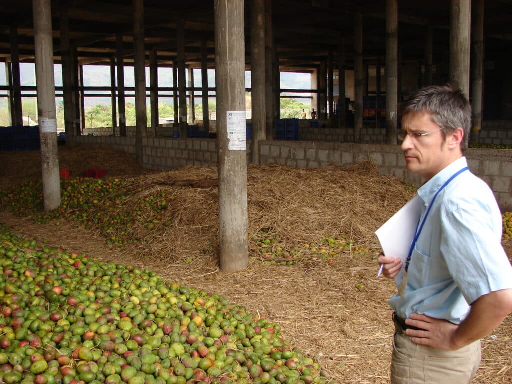 Sourcing Mangue Alphonso Inde