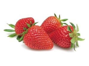 Fruit Rouge Fraise mara des bois