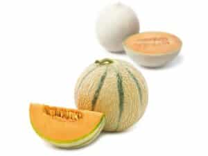 Fruit du Verger Melon