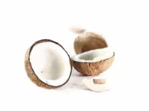 Fruit à coque Noix de coco