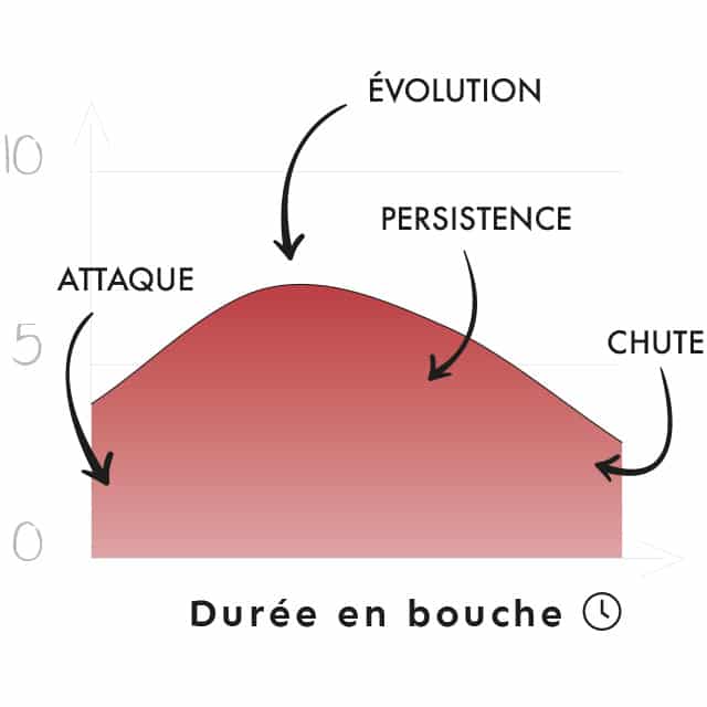 Schéma Profil Aromatique