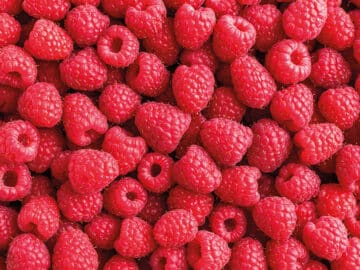 Purée framboise origine France 100% fruit