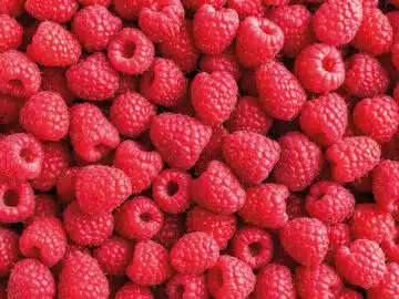 Purée framboise origine France 100% fruit
